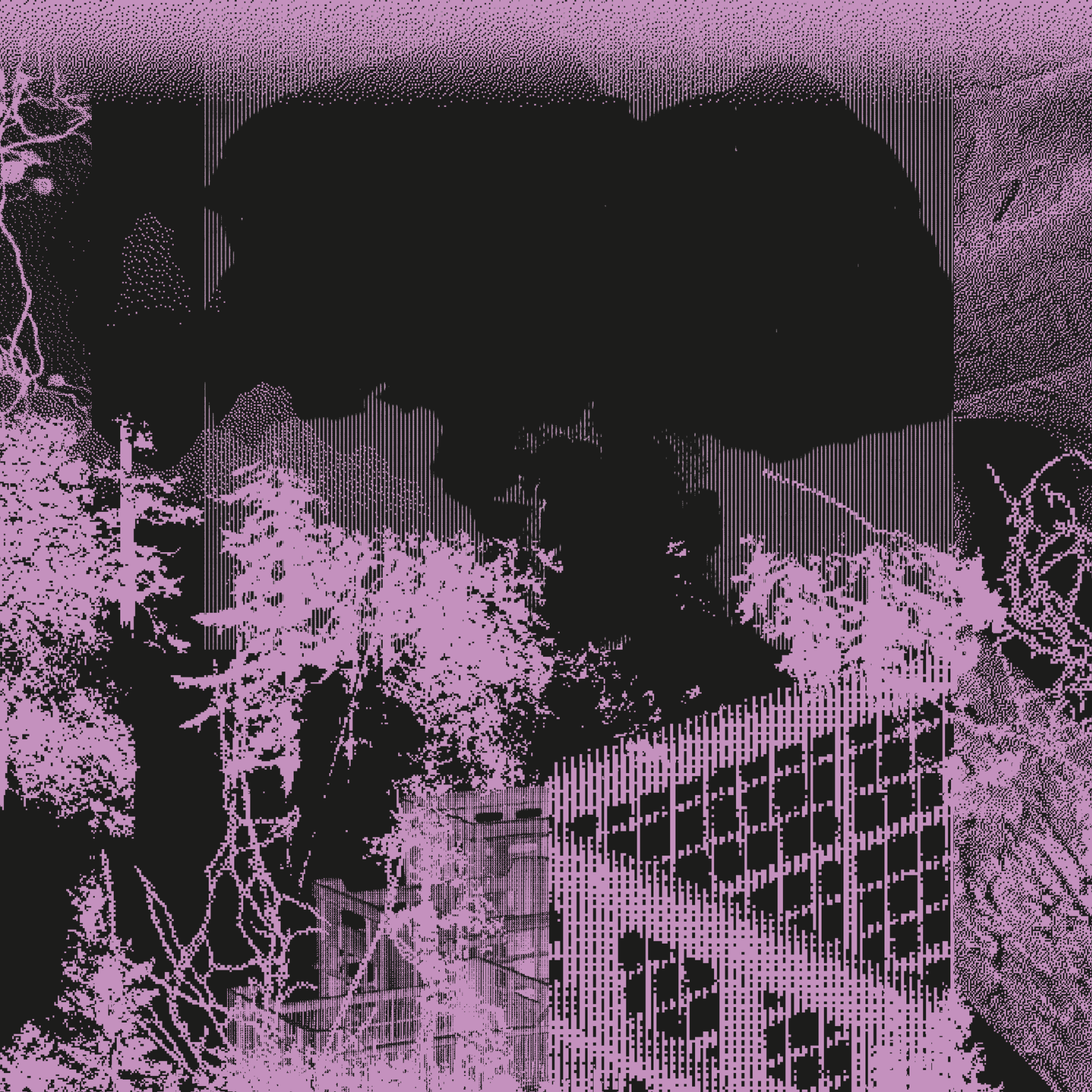 Resisting devastation: looking at the world through the matsutake mushroom