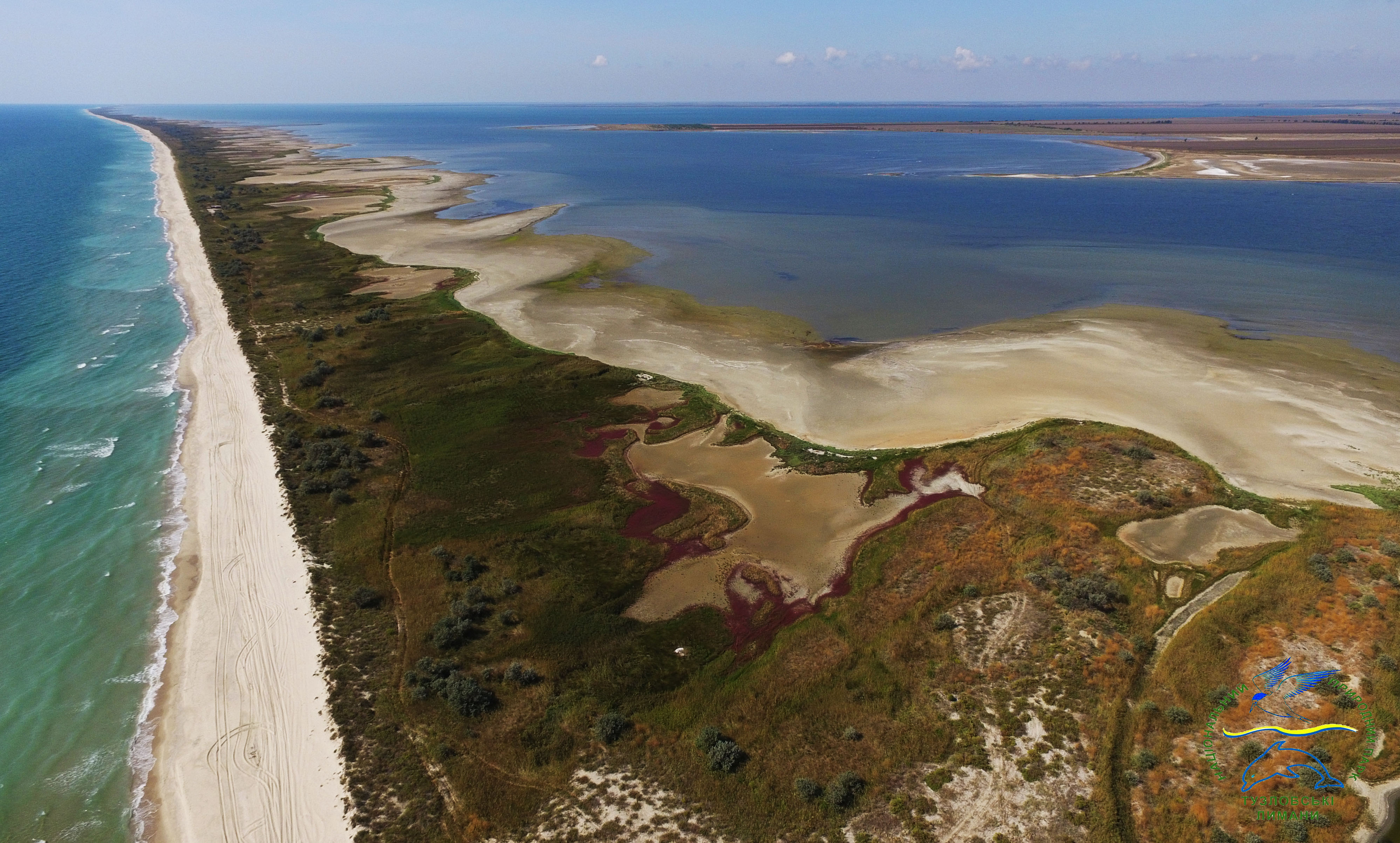Lagoons, dolphins and war in the Black sea: an interview with Ukrainian biologist Ivan Rusev