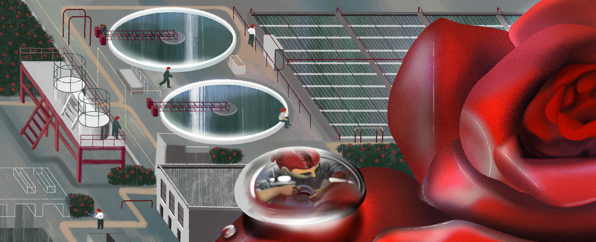 What’s clean water? Human knowledge, hardware and roses