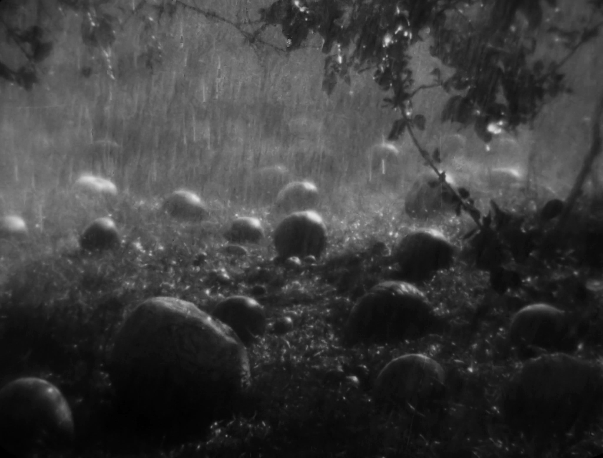 A film still from Oleksandr Dovzhenko’s <i>Earth</i> (1930)