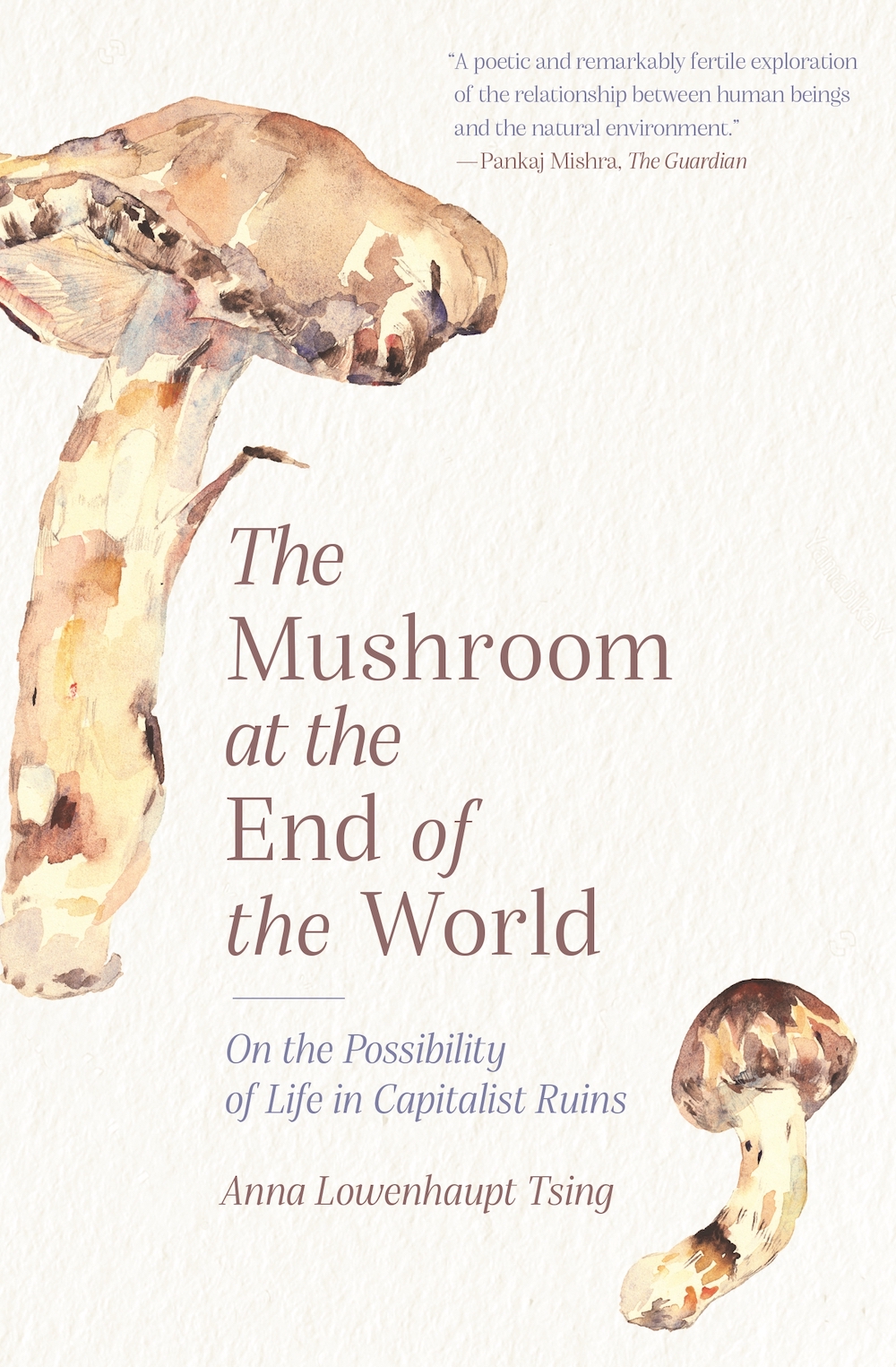 Anna Tsing. The Mushroom at the End of the World: Or the Possibility of Life in Capitalist Ruins. Princeton University Press, 2015.