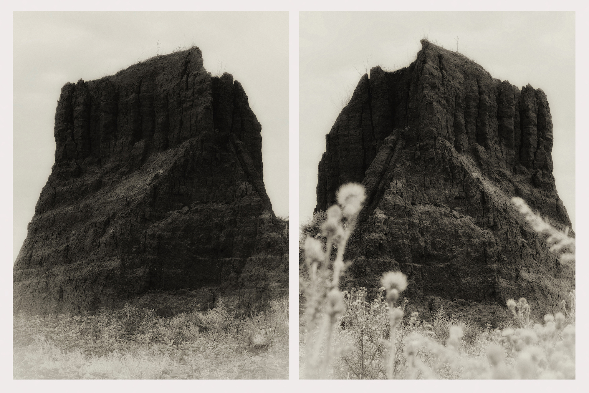 Elina Laskova (2023), medium format black and white film /  Courtesy of the author