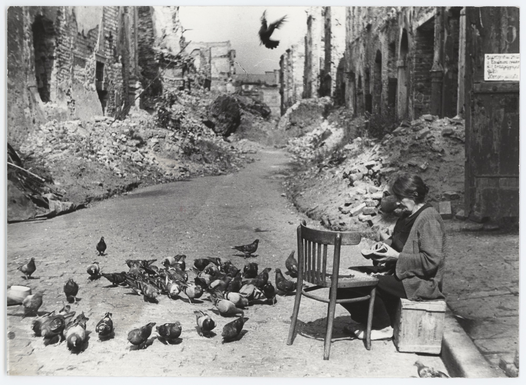 Photo by Julia Pirotte. A woman feeding pigeons on Piwna Street, with ruins in the background. Warsaw, 1946 / Jewish Historical Institute